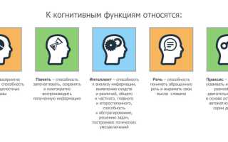 Когнитивные нарушения. Что это такое у пожилых людей, детей, взрослых, лечение, препараты при сосудистых заболеваниях, инсульте, депрессии