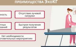 Эхокардиографии сердца у взрослых. Расшифровка, норма, таблица