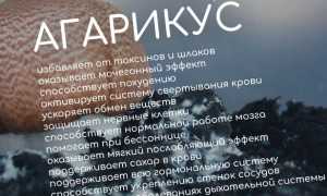Агарикус гомеопатия. Показания к применению