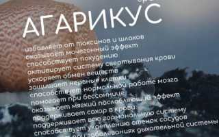 Агарикус гомеопатия. Показания к применению