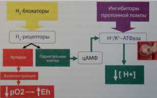 Н2 блокаторы гистаминовых рецепторов. Список препаратов, механизм действия