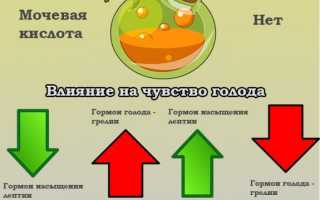 Заменители сахара натуральные. Список лучших, противопоказания для диабетиков, польза, вред, сиропы, в таблетках