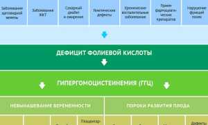 Гомоцистеин — что это, анализ при планировании беременности. Что показывает, норма, как сдавать кровь