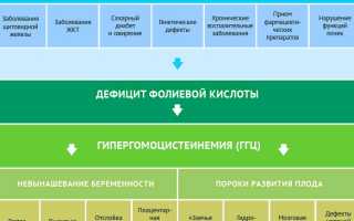 Гомоцистеин — что это, анализ при планировании беременности. Что показывает, норма, как сдавать кровь