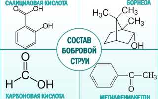 Бобровая струя. Лечебные свойства, показания к применению, как приготовить и принимать