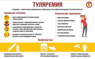 Туляремия. Возбудитель заболевания, симптомы, лечение