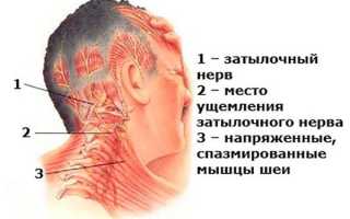 Нарушение статики шейного отдела позвоночника, поясничного, пояснично-крестцового, грудного