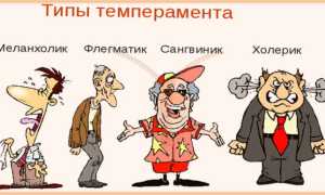 Сангвиник в психологии. Что это, определение, характеристика, описание, профессии