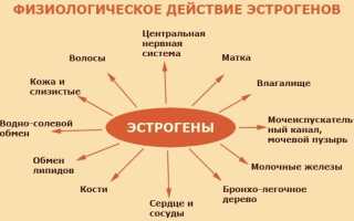 Повышенный эстроген у женщин. Причины, симптомы и лечение. Последствия игнорирования