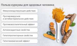 Куркумин. Польза и вред для здоровья, отзывы