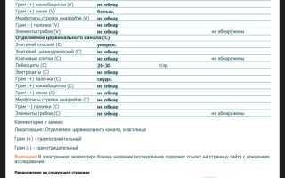 Микроскопическое исследование мазка у женщин. Расшифровка Инвитро, флора, лейкоциты