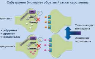 Эффективные капсулы для похудения. Рейтинг, отзывы