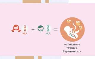 HLA типирование супругов. Что это такое, цена, анализ на генетическую совместимость, классы, расшифровка, как подготовиться
