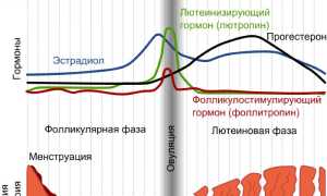 Почему не идут месячные. Причины, кроме беременности, что делать