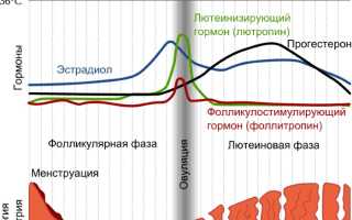 Почему не идут месячные. Причины, кроме беременности, что делать