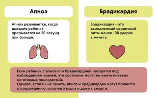 Брадикардия сердца у взрослых. Что это такое, причины, симптомы, лечение. Препараты