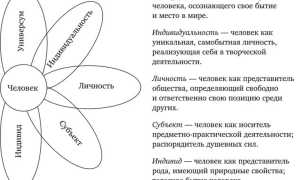 Индивидуализация в психологии. Что это, определение, принцип, примеры