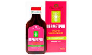 Лечение педикулеза у детей. Препараты, народные средства, лекарства