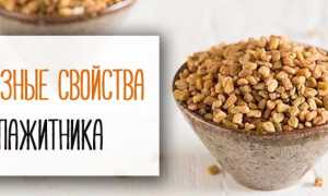 Семена пажитника. Полезные свойства, рецепты применения
