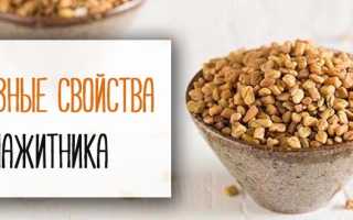 Семена пажитника. Полезные свойства, рецепты применения