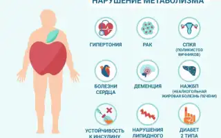 Нарушение обмена веществ (метаболизма). Симптомы, как восстановить, лечение