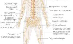 Немеет правая рука и нога одновременно. Причины у мужчин, женщин