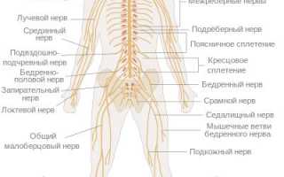 Немеет правая рука и нога одновременно. Причины у мужчин, женщин