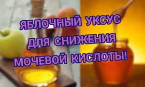 Яблочный уксус при подагре. Можно ли, рецепты, отзывы