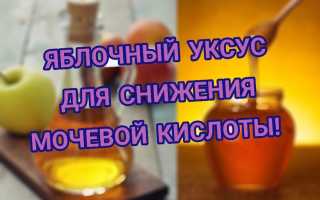 Яблочный уксус при подагре. Можно ли, рецепты, отзывы