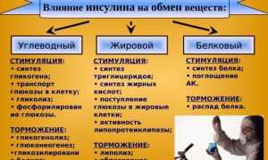 Нарушение липидного обмена. Что это такое, как лечить