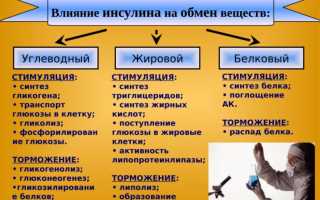 Нарушение липидного обмена. Что это такое, как лечить