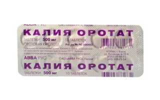 Оротовая кислота. Инструкция по применению, цена, отзывы