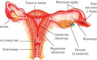 Перевязка труб у женщин. Последствия для здоровья, побочные эффекты