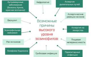 Эозинофилы у ребенка. Норма, почему повышены, отсутствуют, понижены в крови. Причины