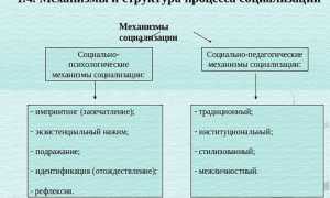 Социализация в психологии. Что это такое, этапы, факторы, стадии, виды, механизмы, функции