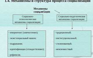 Социализация в психологии. Что это такое, этапы, факторы, стадии, виды, механизмы, функции