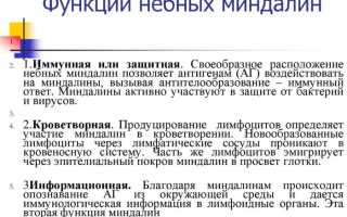 Удаление миндалин. Отзывы и последствия взрослым, детям