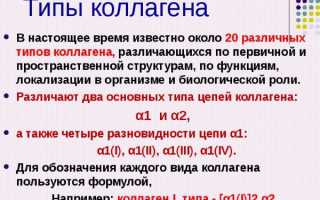 Коллаген в капсулах. Для чего полезен, инструкция по применению, цена