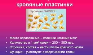 Средний объем тромбоцитов (MPV) понижен у женщин. Причины