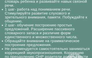 Общее недоразвитие речи. Что это, характеристика 1-4 уровня, профилактика, система коррекции