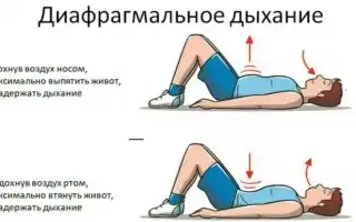 Диафрагмальное дыхание. Как выполнять упражнения, польза и вред, противопоказания