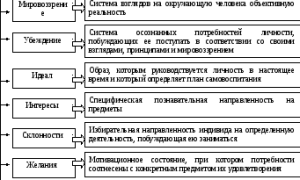 Направленность личности в психологии. Что это такое, структура, формы, виды