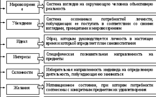 Направленность личности в психологии. Что это такое, структура, формы, виды