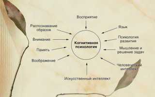 Когнитивная психология кратко и понятно. Презентация