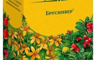 Бруснивер. Инструкция по применению сбор, чай, таблетки. Цена, аналоги