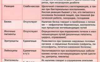 Ph в моче повышен у ребенка. Причины