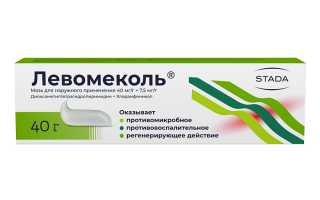 Лечение кожных заболеваний: препараты, мази-антибиотики, народные средства