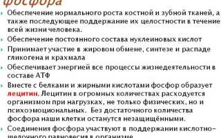 Фосфор неорганический в крови повышен у взрослого. Причины