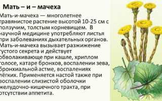 Монастырский чай отца Георгия от курения. Состав, цена, развод или правда?