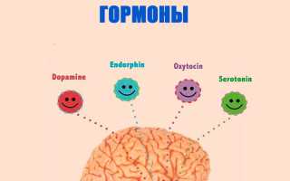 Дофамин и серотонин — гормоны в организме. Что это, блокаторы, симптомы дефицита, как повысить